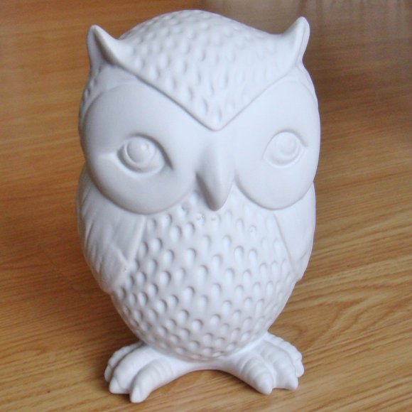 BNIB Kikkerland Design Owl Money Bank - Picture 3 of 6